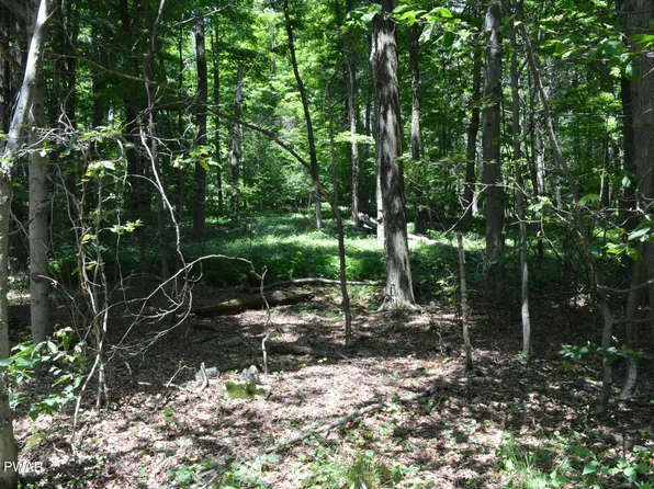 Akers Rd, Newfoundland, PA 18445