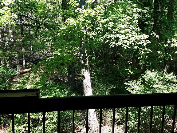 4th image of 23313 Sugar Maple Ct APT 831