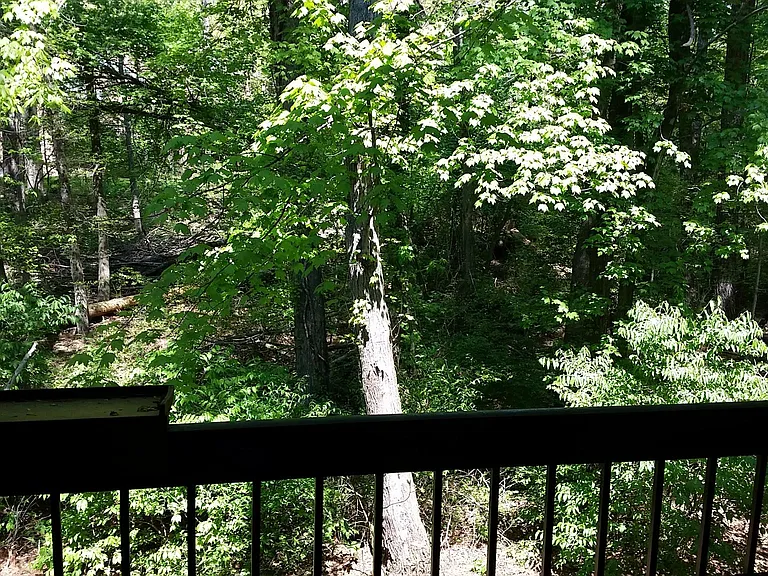 23313 Sugar Maple Ct #831 — Photo 4