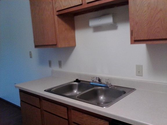 Shiny stainless steel sink !