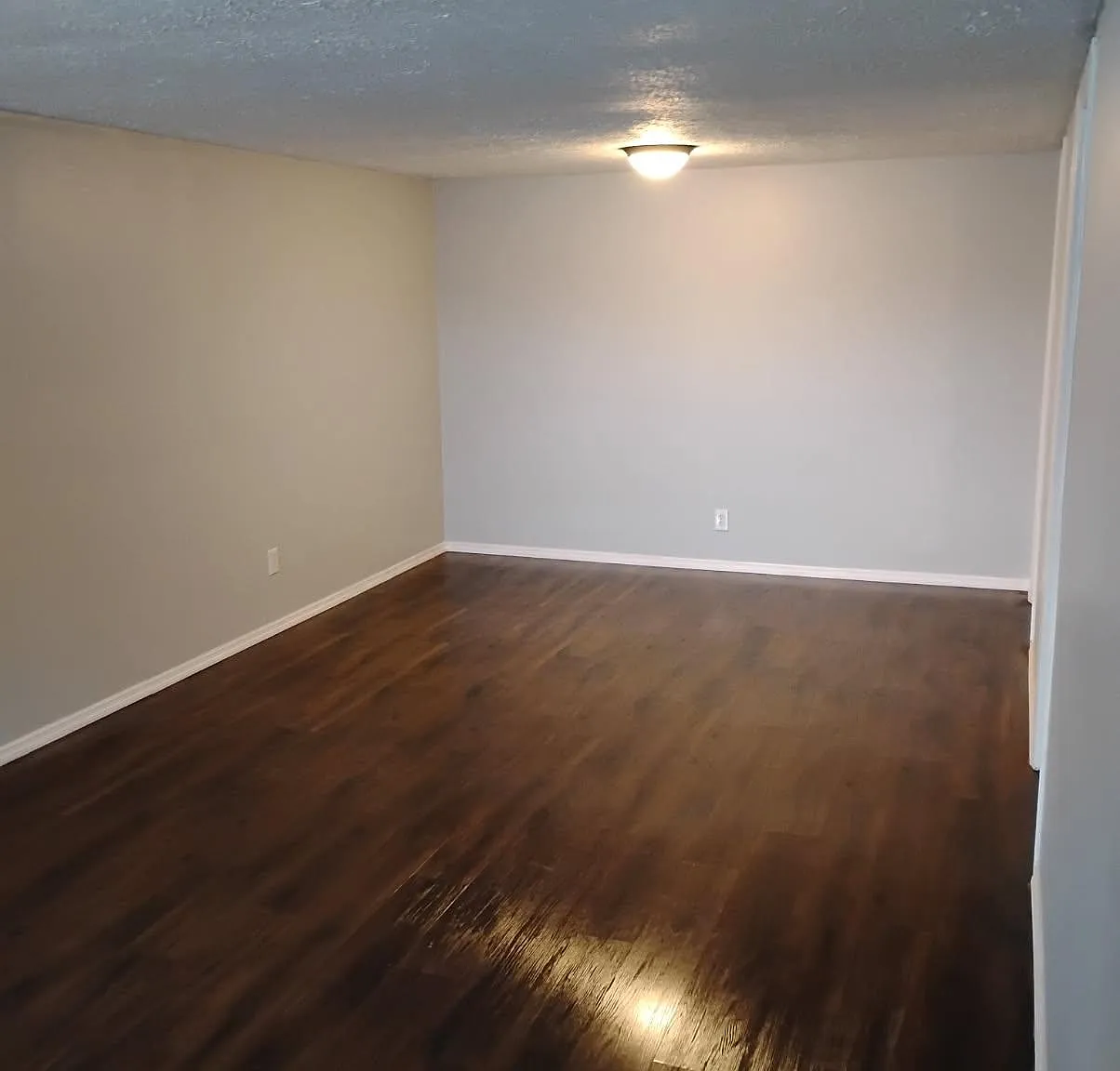 Foxglove Wilmington Apartment - 1101E — Photo 4