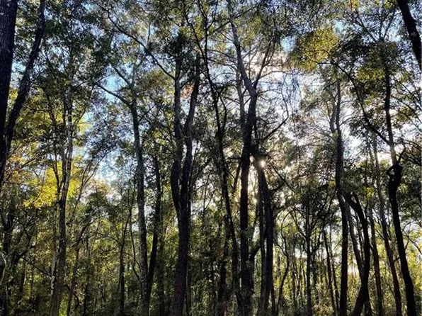 Harvey Lavigne Rd, Ponchatoula, LA 70454