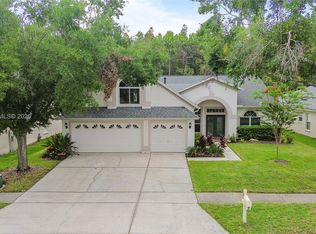 10217 Timberland Point Dr, Tampa, FL 33647