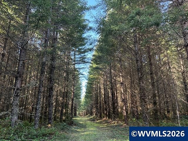 1st image of 0 Se Wildcat Mount