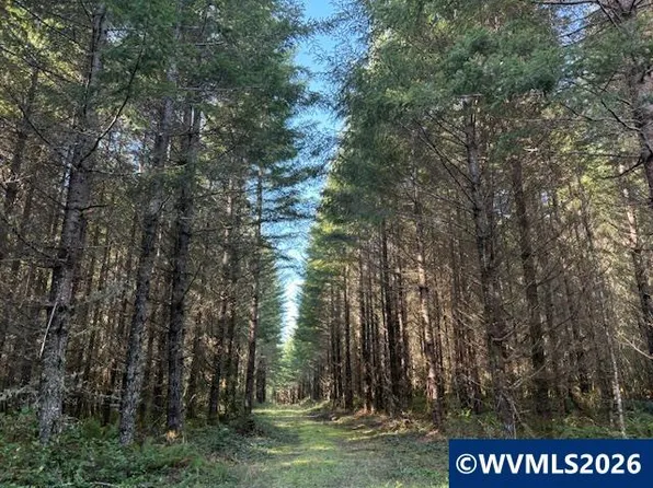 0 Se Wildcat Mount, Sandy, OR 97055