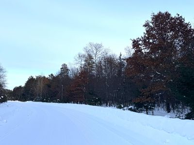 LOT 37 Bosshard Circle Rd, Woodruff, WI, 54568