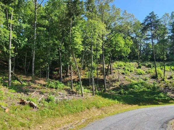 LOT 6 Mountain Laurel Ridg, Mineral Bluff, GA 30559