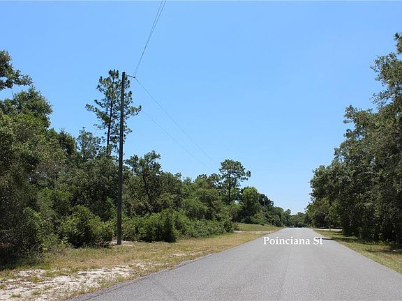 5th image of Poinciana St Lot 11