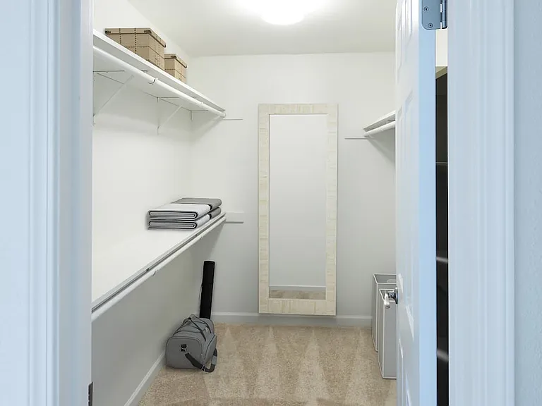 Spacious walk-in closet