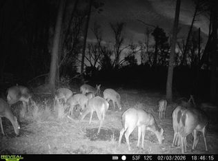 0 Beaufort Rd, Alma, GA 31510