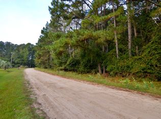 466 Paige Point Blf, Seabrook, SC 29940