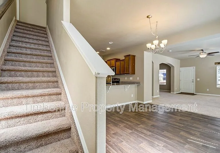 7673 Crestone Peak Trl — Photo 25