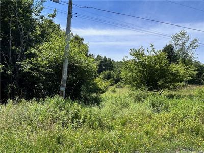 Wm Brown Road, Fremont Center, NY, 12736