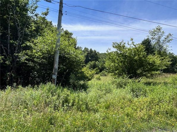  Wm Brown Road, Fremont Center, NY 12736