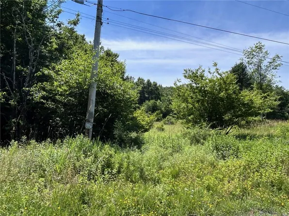 Wm Brown Road, Fremont Center, NY 12736