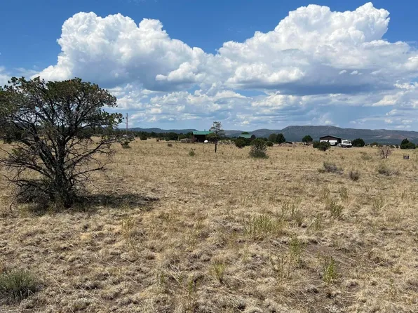 LOT 128 N County Road 2004, Nutrioso, AZ 85932