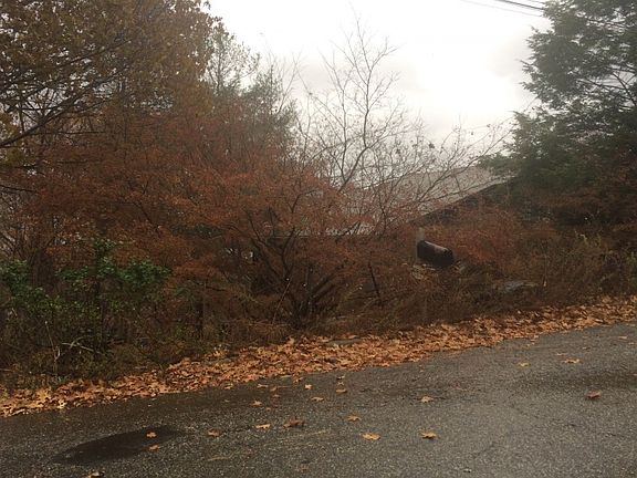 3rd image of 19 Trailside Pl
