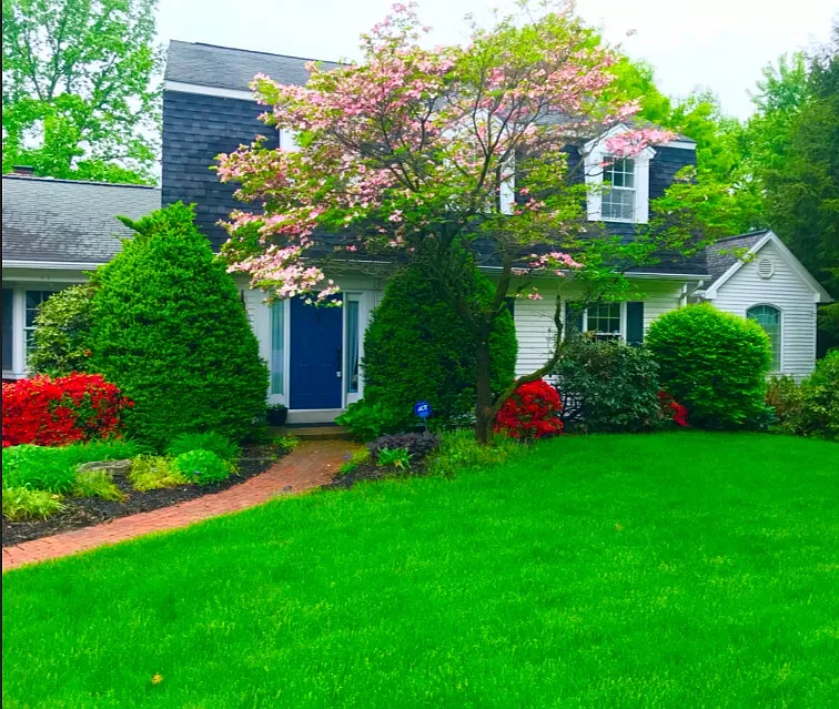 1054 Ladderback Dr photo 1