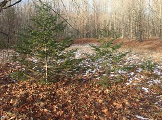 644 W Devereaux Lake Rd, Indian River, MI 49749