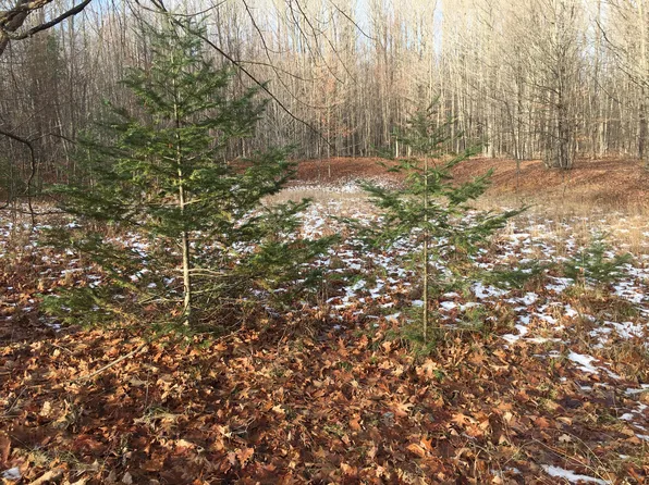 644 W Devereaux Lake Rd, Indian River, MI 49749