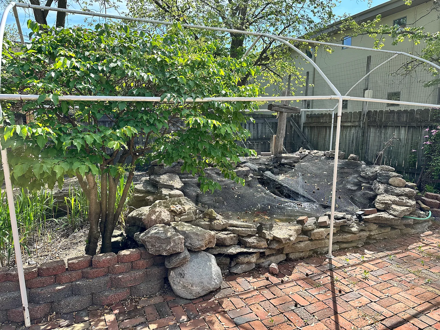 3 bed, 1240 sqft, $2,000 — Photo 4