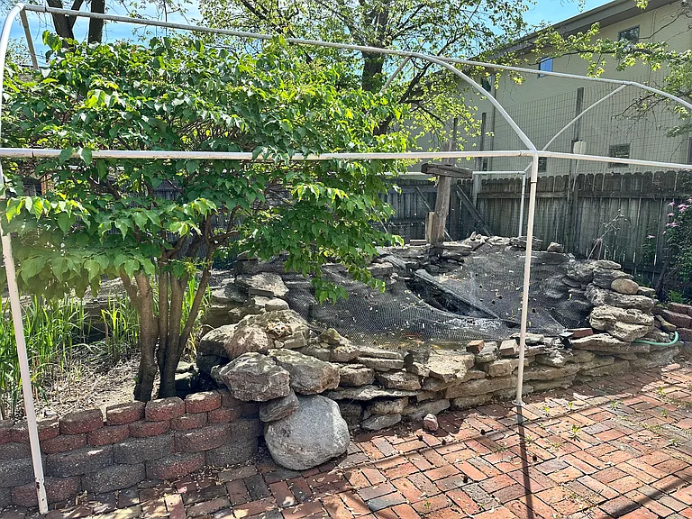 321 Linden St — Photo 4