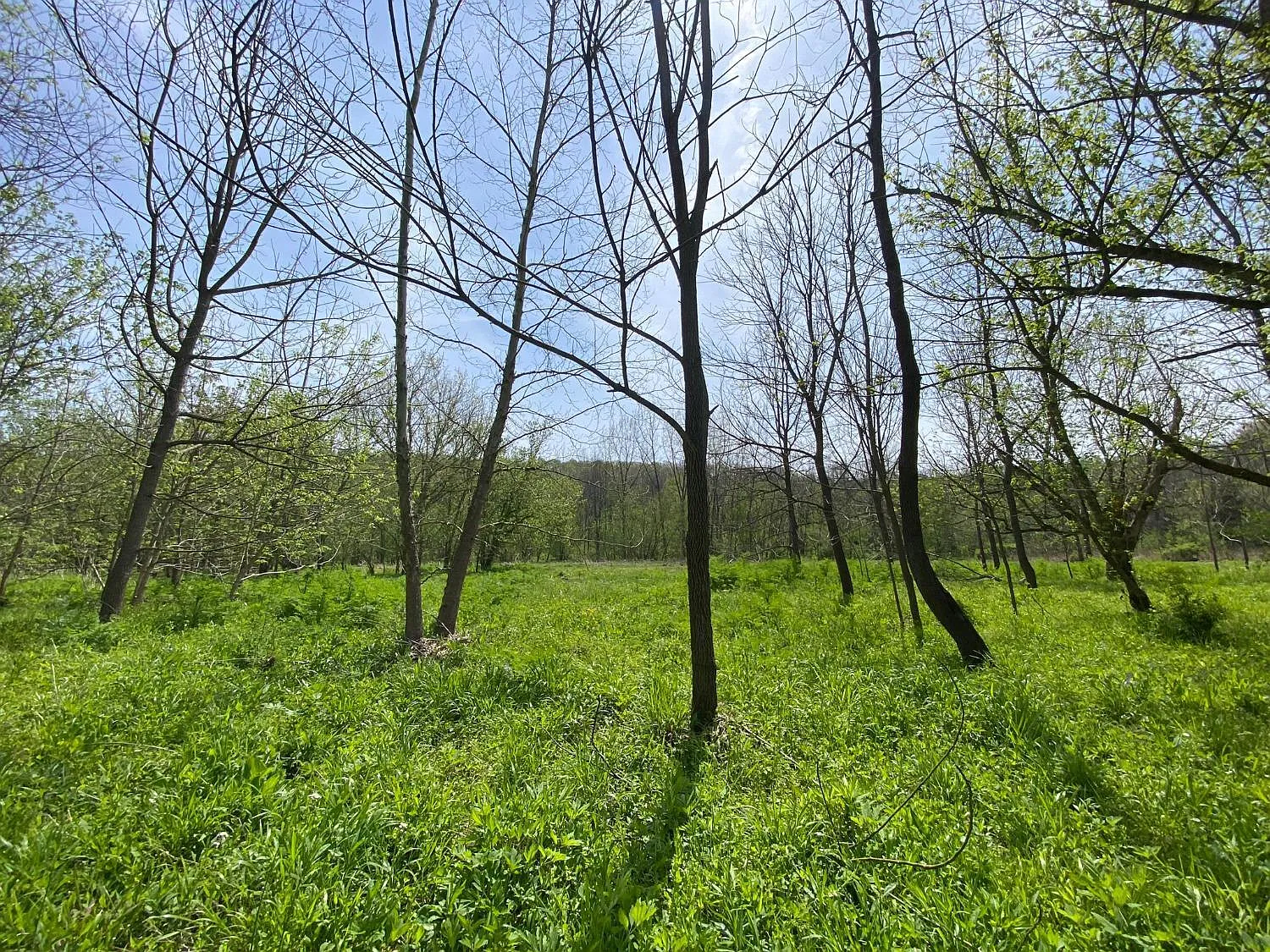 5596 Vaughn Ridge Rd photo 1