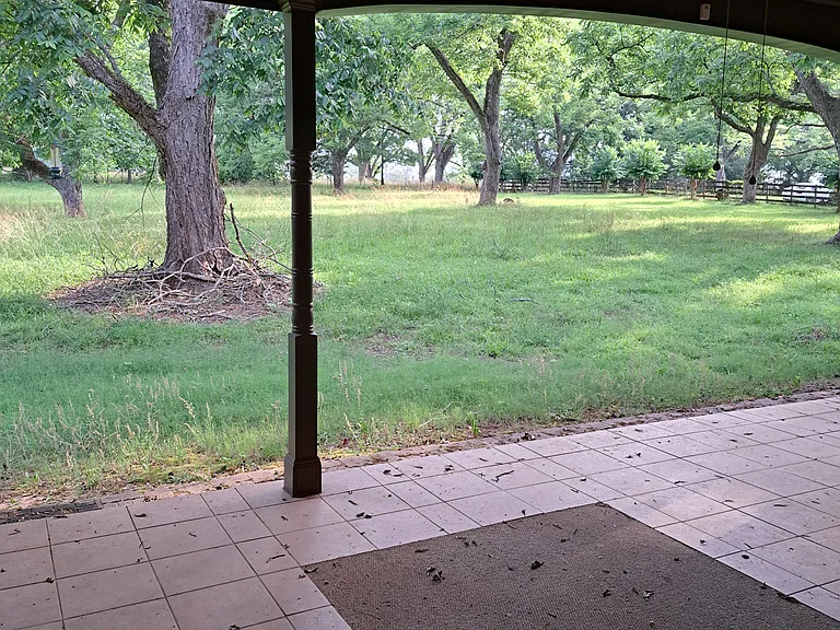 Back yard view into pecan grove from back porch