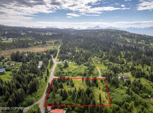 41155 Char Ct, Homer, AK 99603