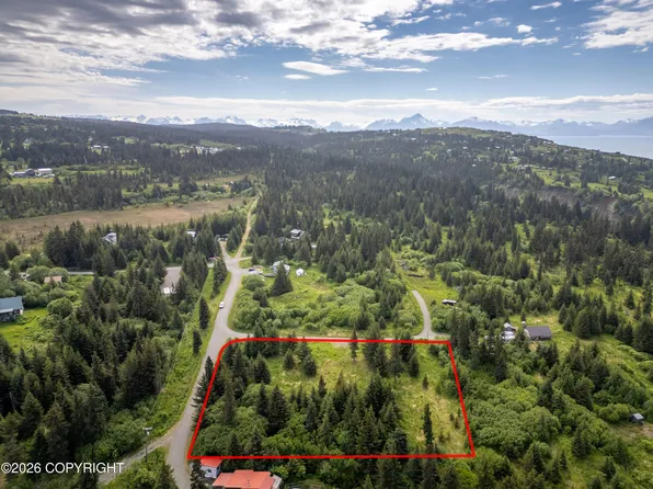 41155 Char Ct, Homer, AK 99603