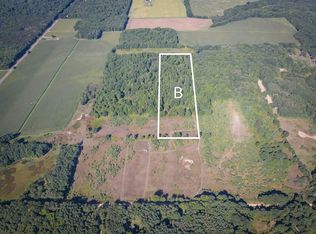 PARCEL N 168th Ave #B, Walkerville, MI 49459
