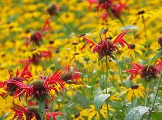 18010 118th Ave SE, Renton, WA 98058