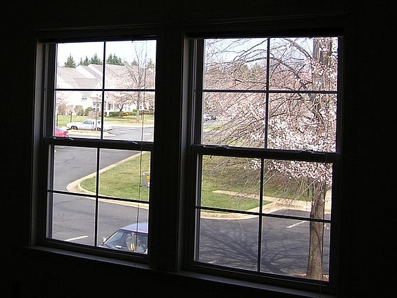 "Street scape" from MBR