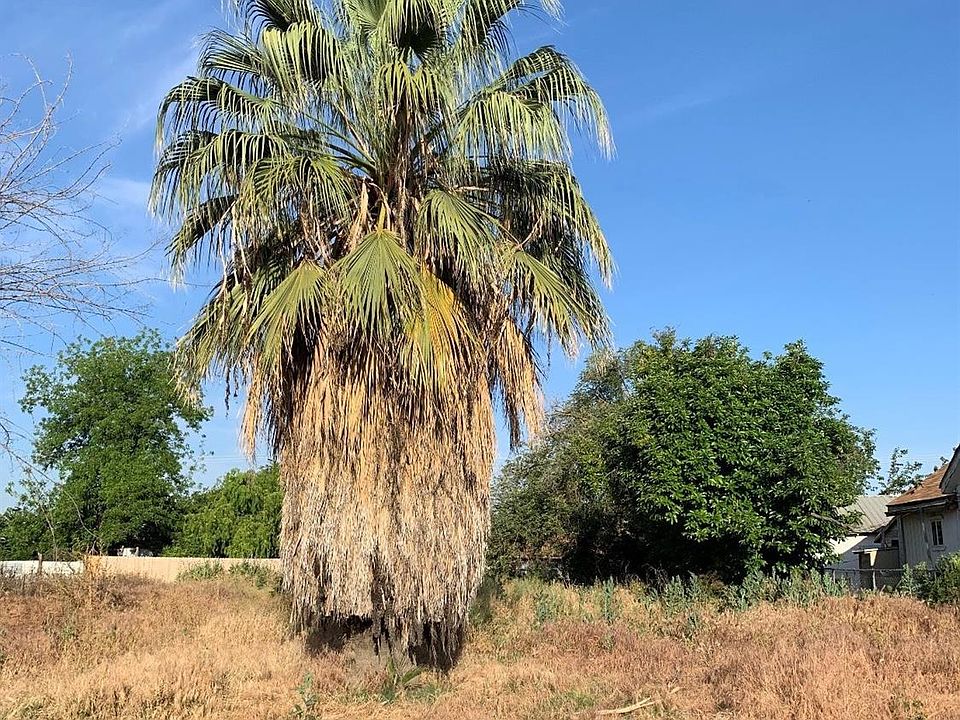2nd image of 40619 Lincoln Rd