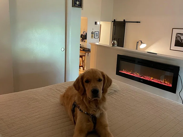 Pet friendly. Pets considered.