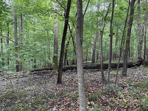 3rd image of Creekstone Dr Lot 7