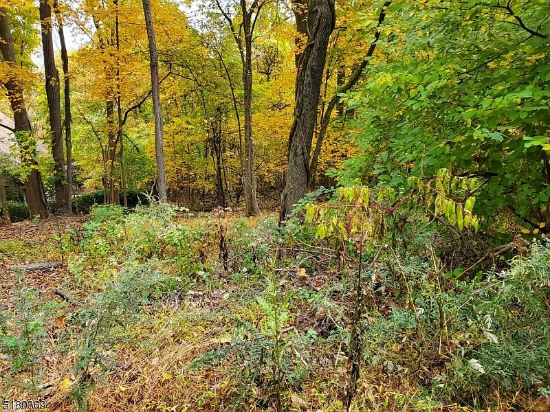 86 Pine Brook Rd, Towaco, NJ 07082 MLS 3814643 Zillow