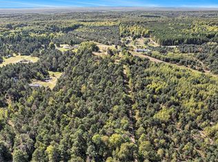 0 Viaduct Rd, Copemish, MI 49625