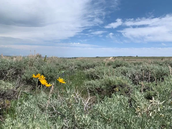 13 Meeteetse Meadows Rd, Red Lodge, MT 59068