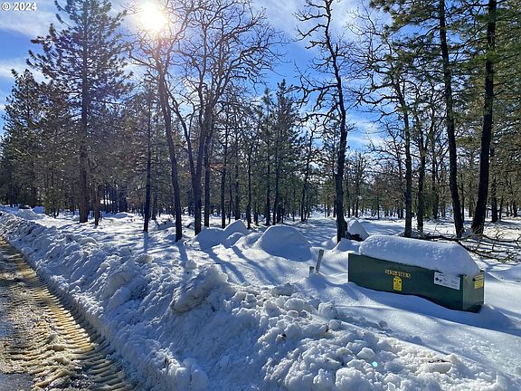 3rd image of W Ponderosa Dr #138