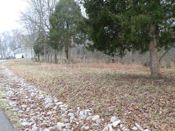 Frontage on Dogwood Trail