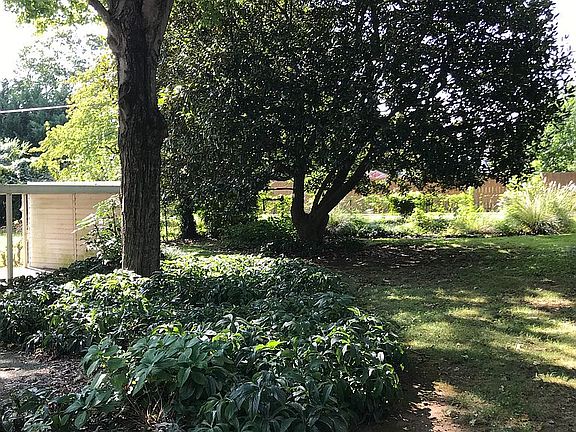 Landscaped rear yard