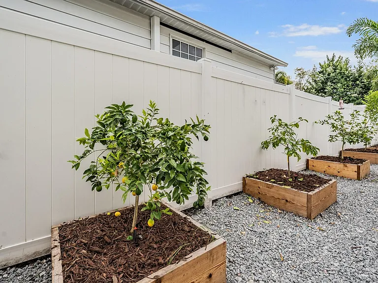 Fruit Trees