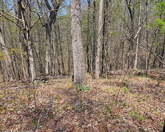 5th image of Benton Tidwell Rd