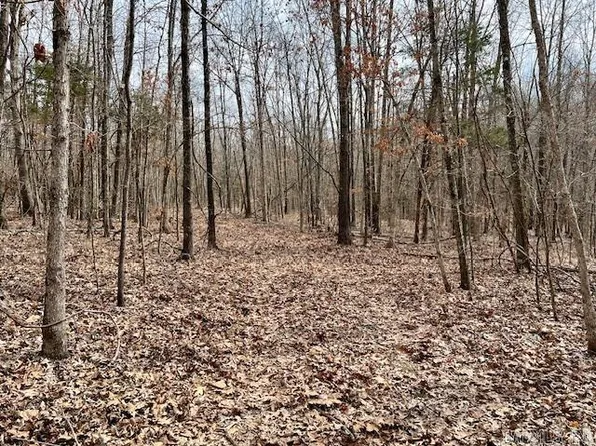 0 Paige Trl, Pocahontas, AR 72455