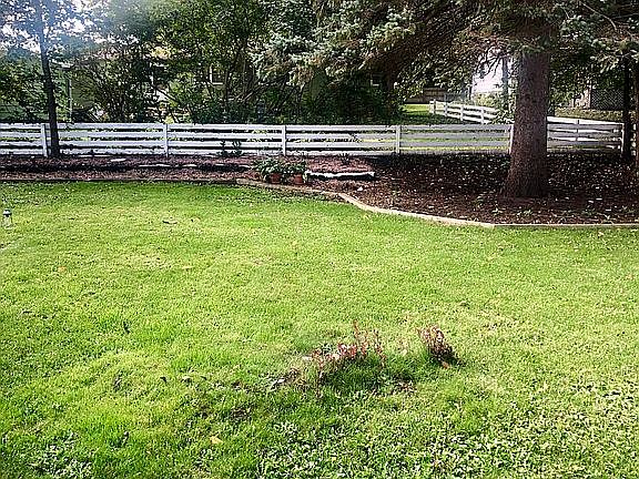 Removal of tree stumps