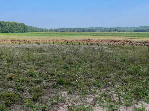3 Mile Rd, Reed City, MI 49677