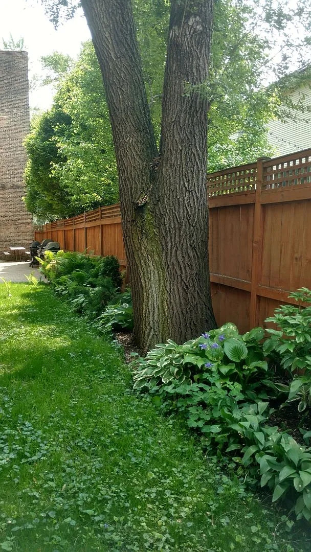 Just Remodeled! Lovely Roscoe Village! (Video Tour) — Photo 2