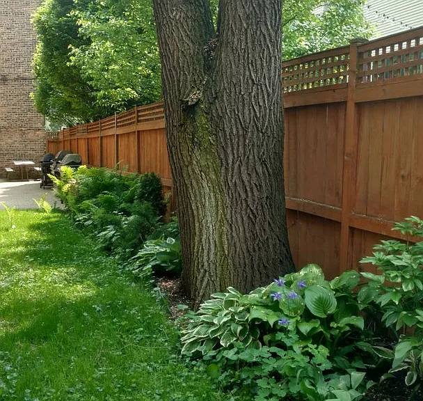 3508 N Wolcott Ave — Photo 5