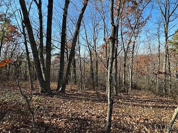 5th image of 0 Kingswood Ln Lot 1